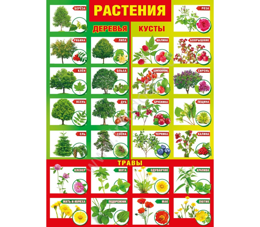 Плакаты для дошкольников