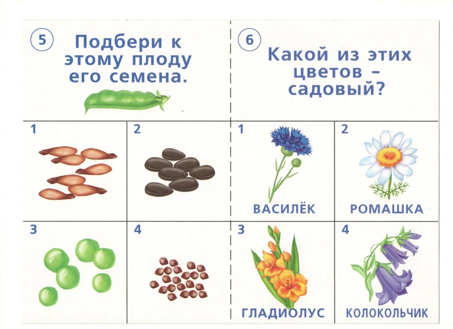 Дидактические игры для дошкольников по окружающему миру
