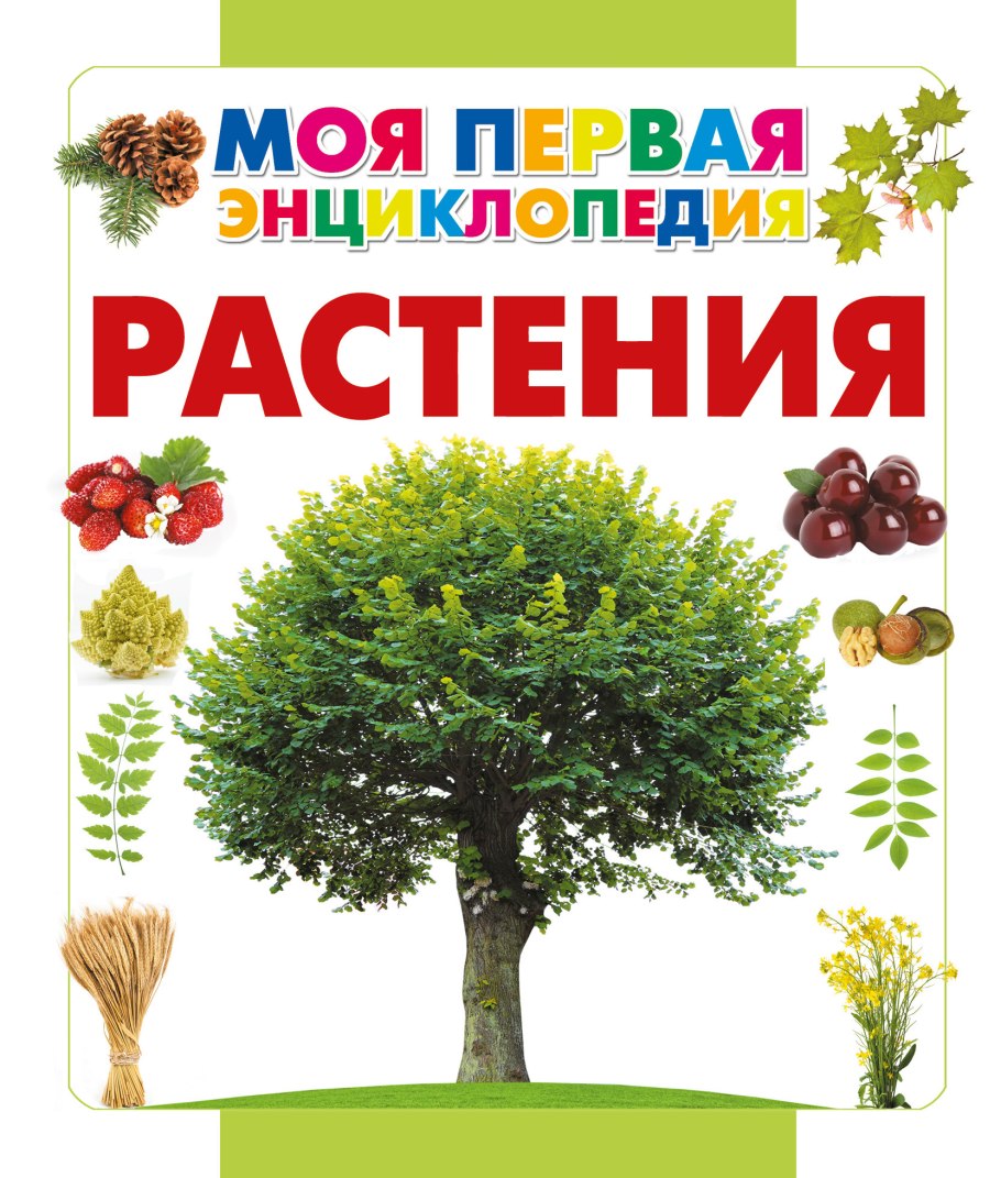 Растения. Энциклопедия