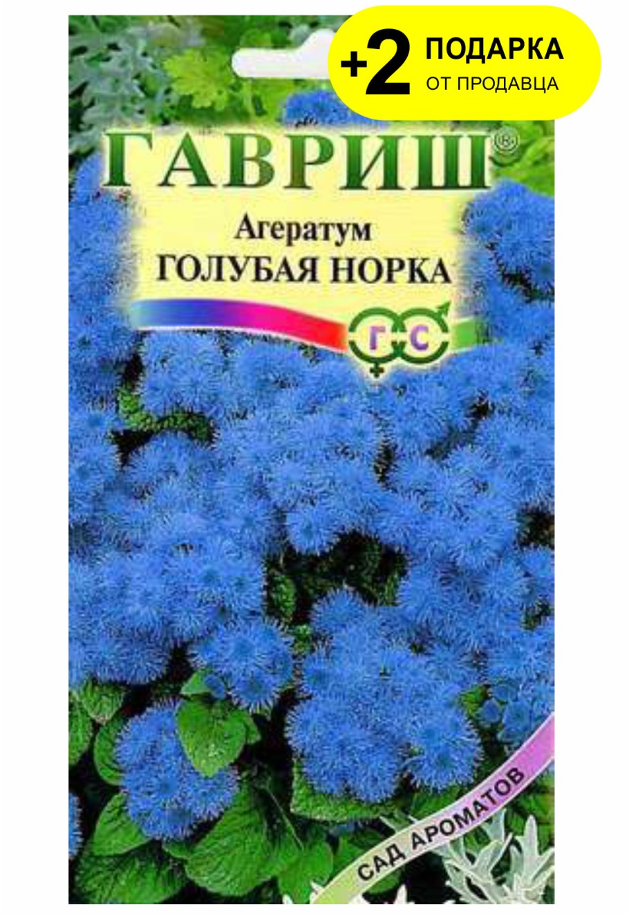 Синяя смесь цветок