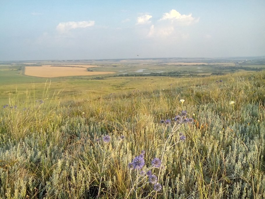 Гора Серноводский Шихан