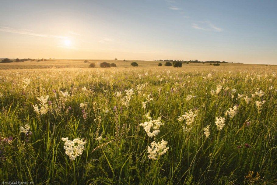 Ямская степь