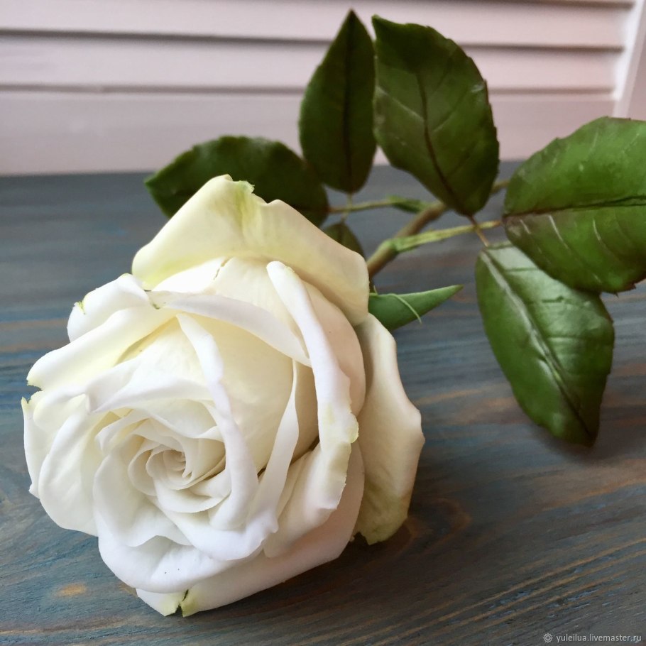 Юлия Роуз hot