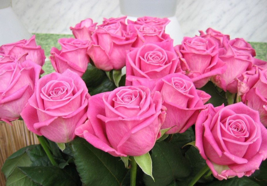 Лепестки роз