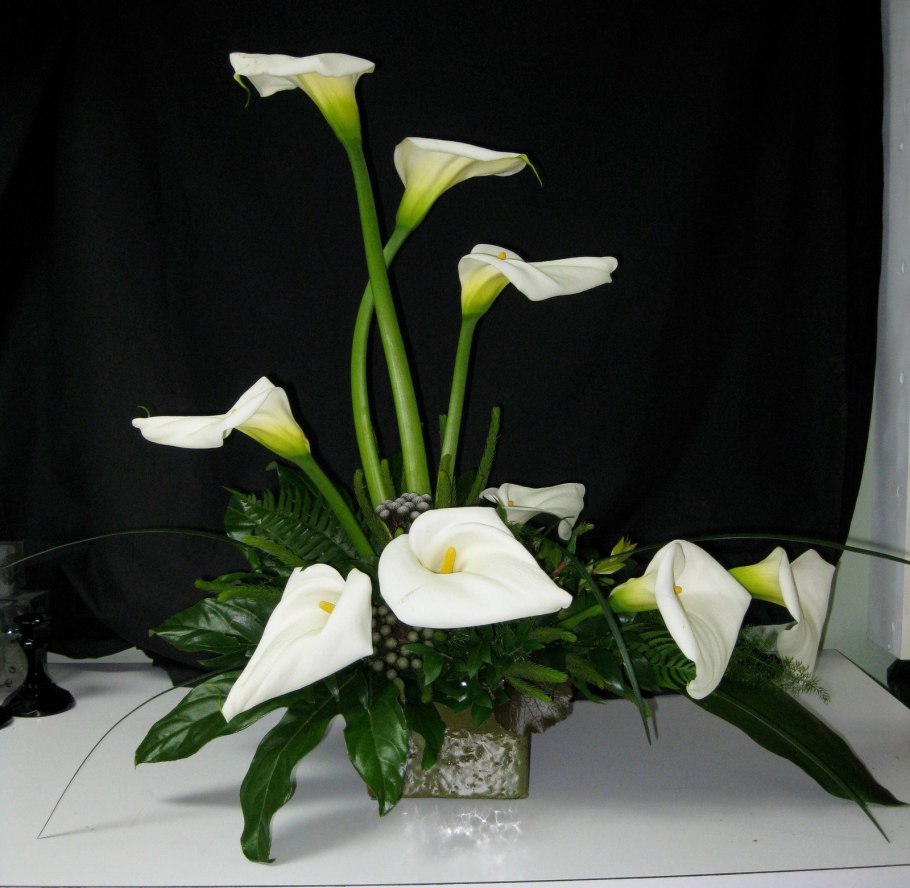 Arum Lily цветок