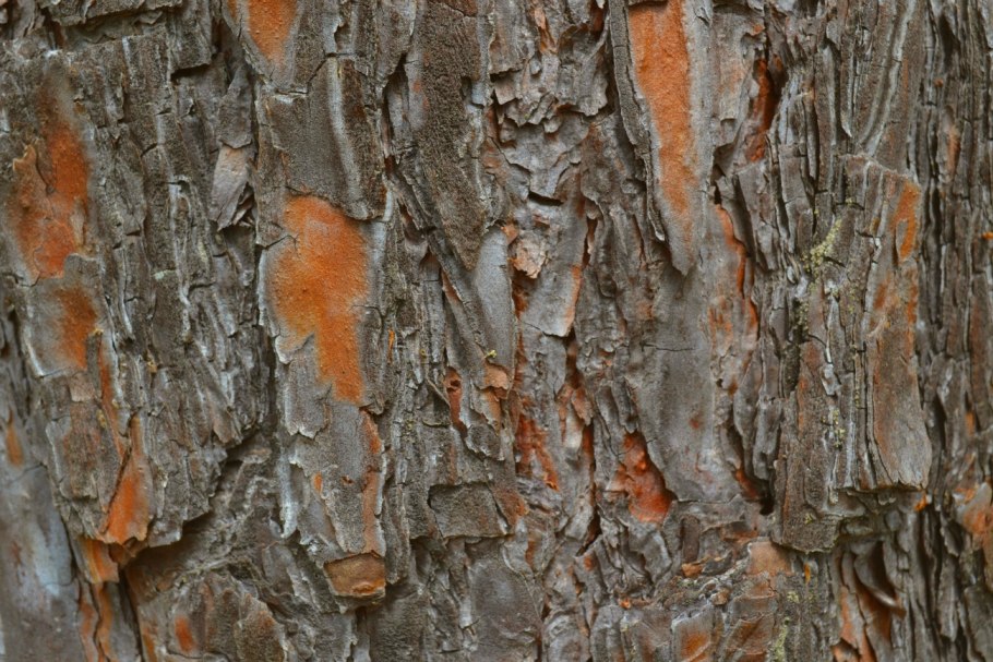 Декор из коры дерева