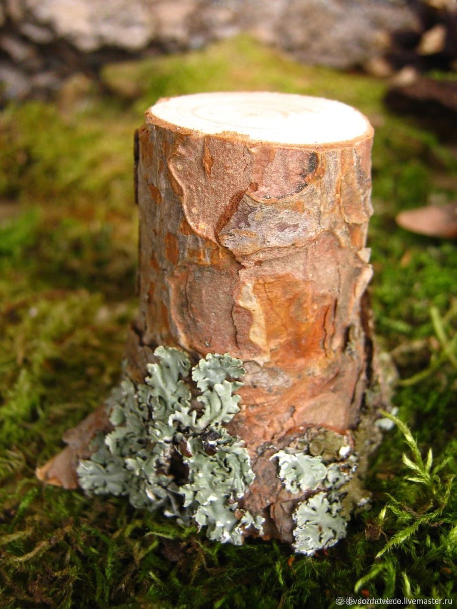 Декор из коры