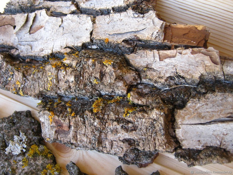 Мох для декора