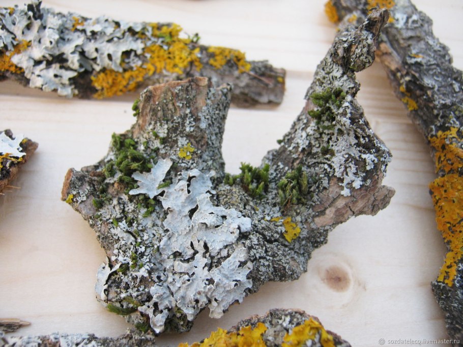 Природные материалы кора