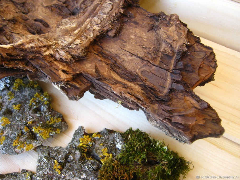 Декор из спиленных веток