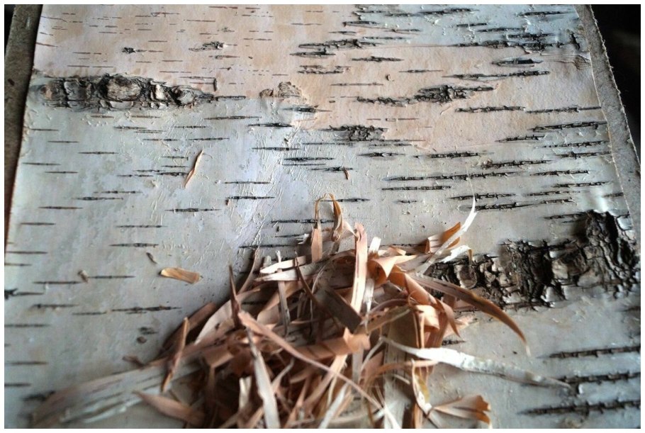 Деревянные коряги в интерьере