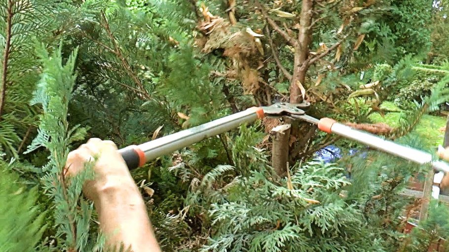 Приспособление для пересадки деревьев