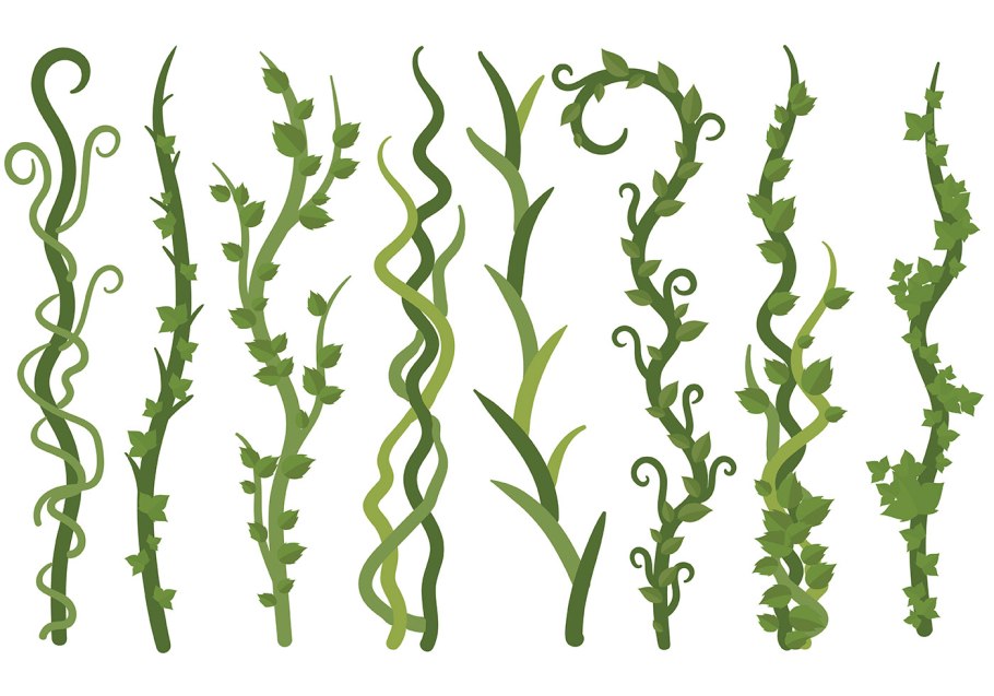 Стебель с листьями