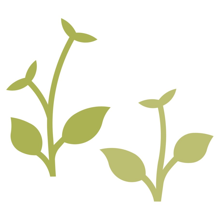 Стебель цветка