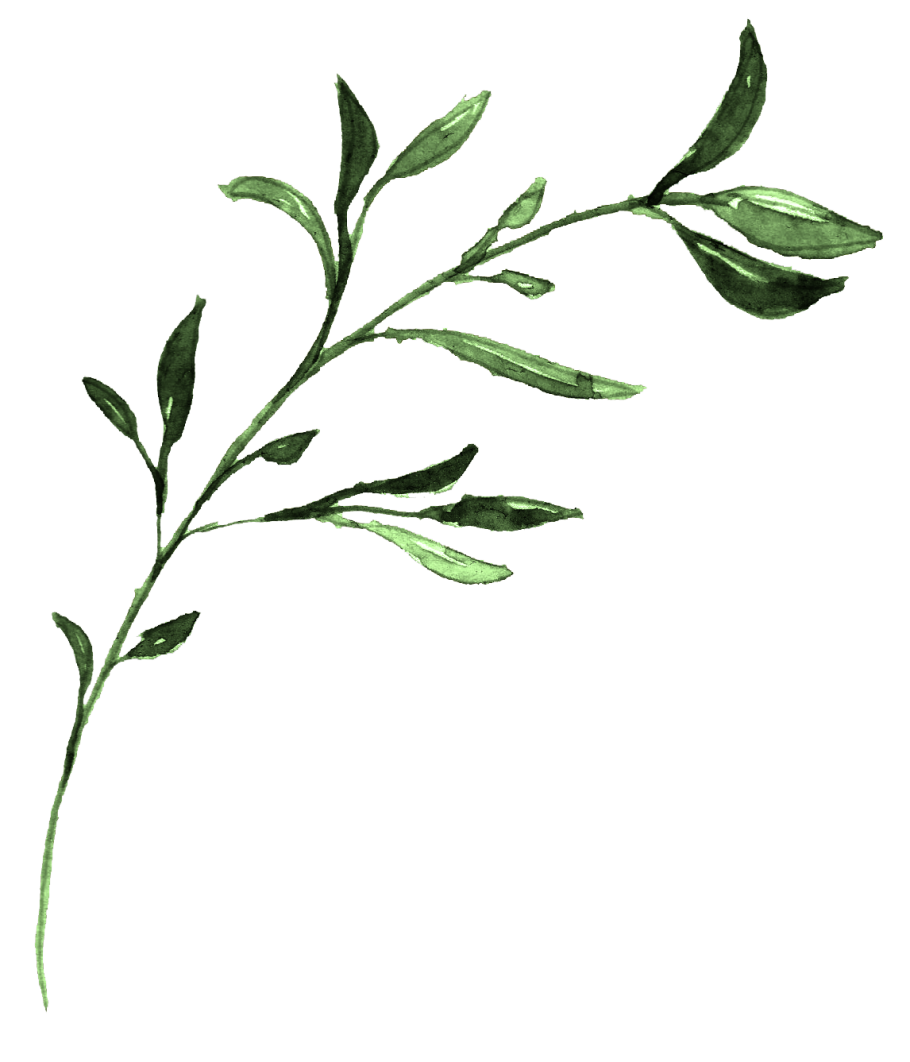 Рост цветка