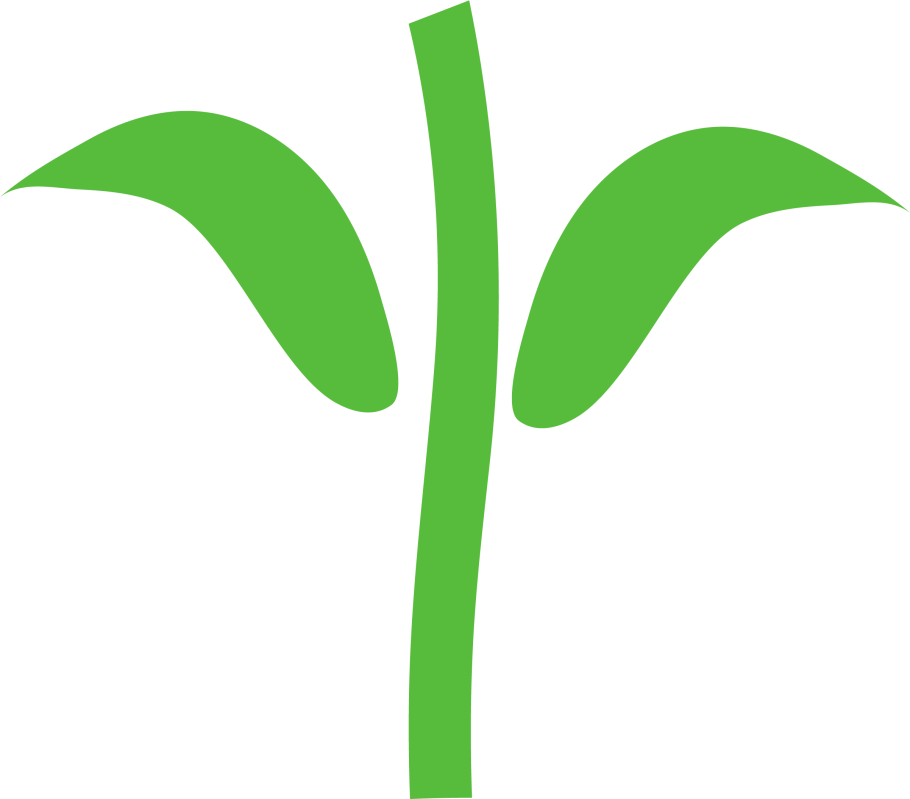 Стебель Лютика