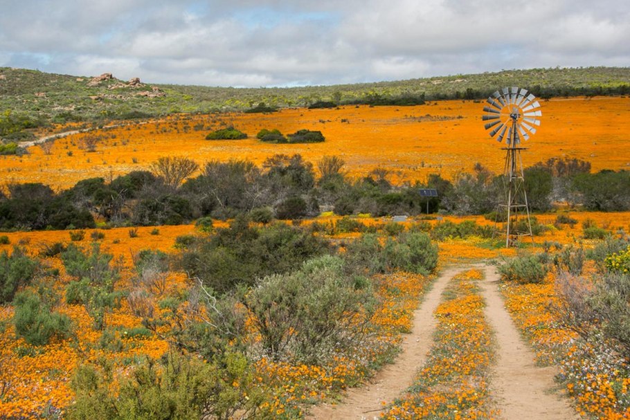 Намакваленд, ЮАР