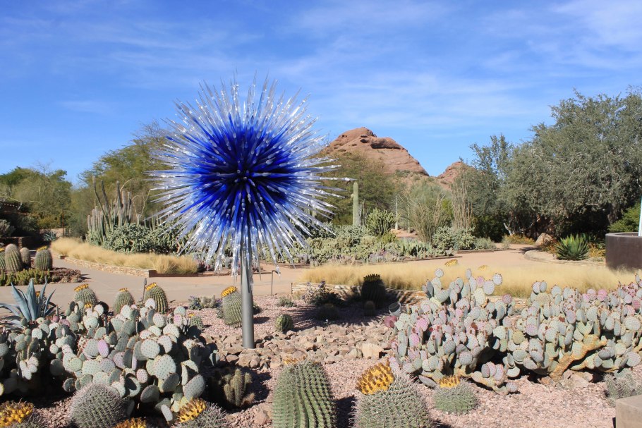 Desert botanical garden