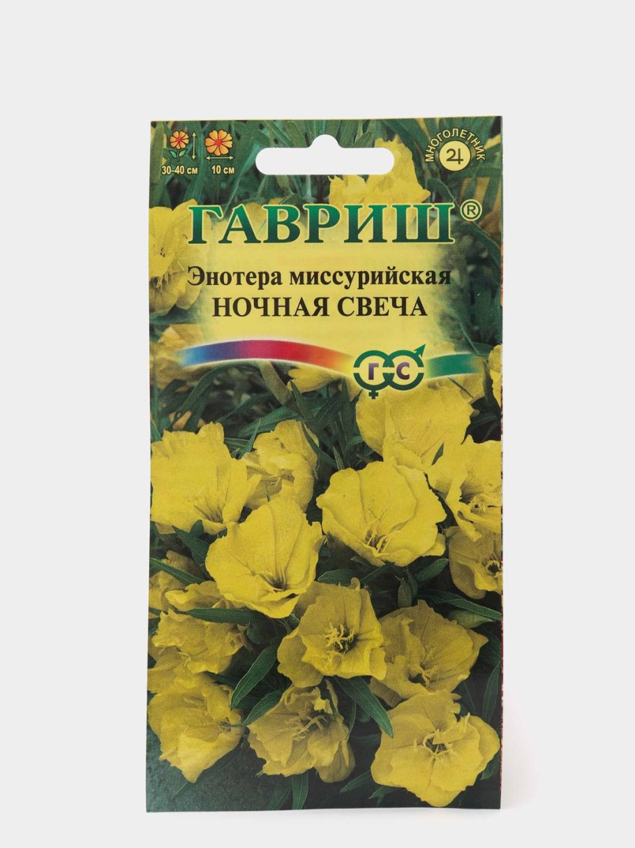 Энотера желтая свеча