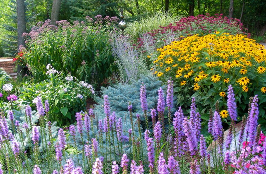 Цветник лесенка, бархатцы, ирисы, тигровая Лилия