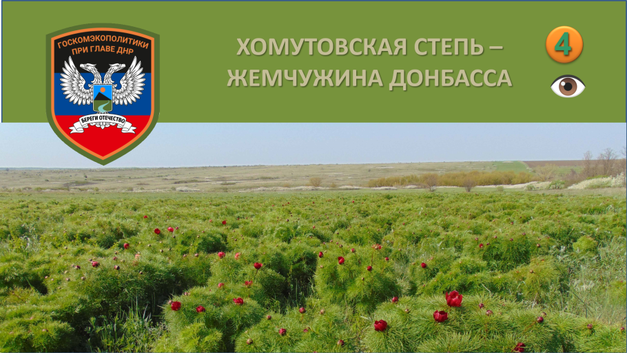 Луганский заповедник Луганская область
