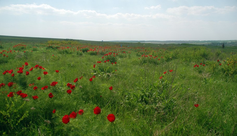 Северский Донец Луганская область