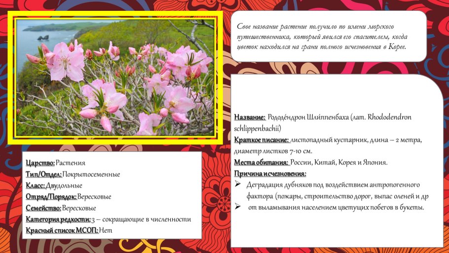 Лечебные растения боярышник