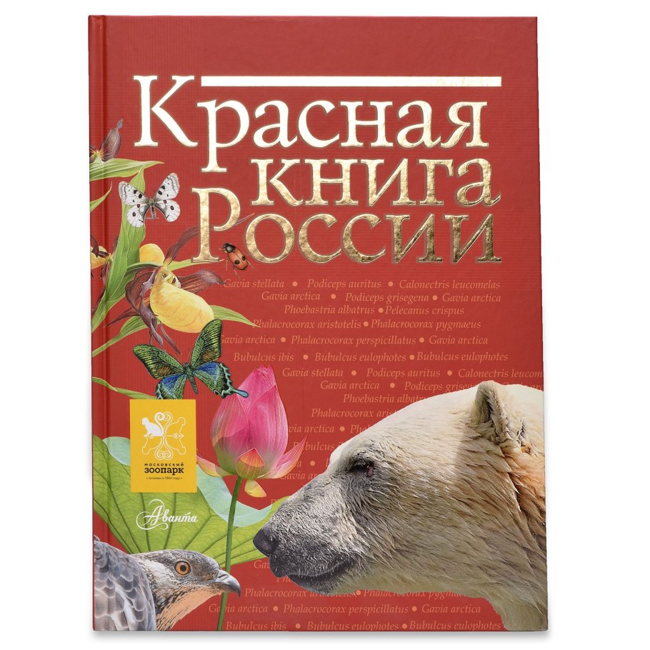 Ковыль (Stipa)