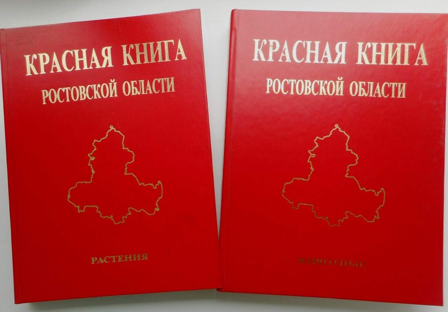Ковыль перистый