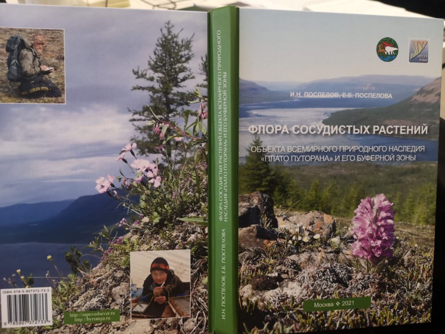 Заповедник остров Врангеля растения