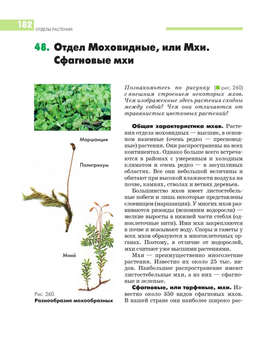 Размножение мха Кукушкин лен цикл развития