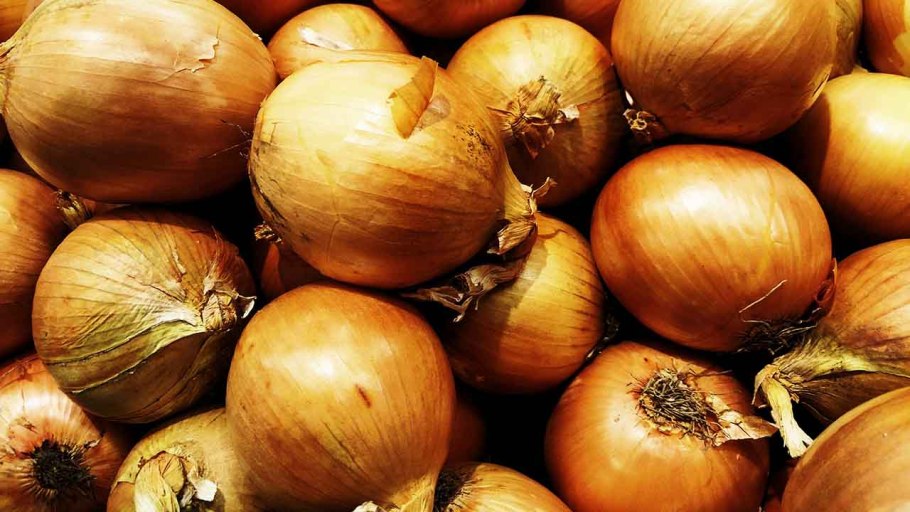 Гигантский чеснок