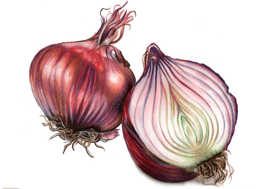 Лук семейный