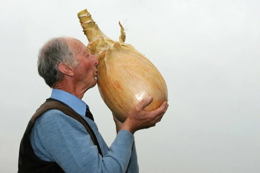 Севок Штутгартер 2 группа