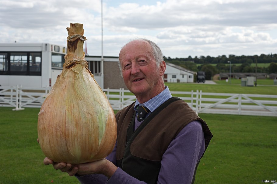 Питер Глейзбрук