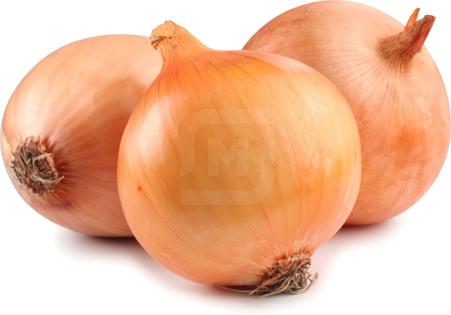 Лук репчатый талисман f1