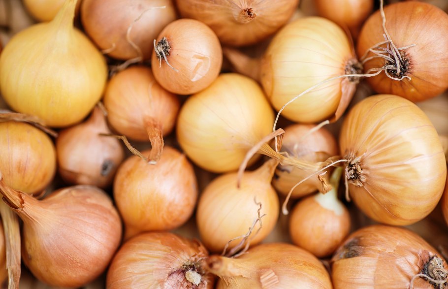 Лук жёлтый