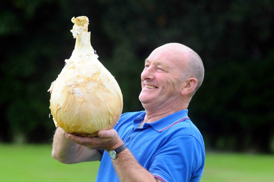 Лук-шалот Роман Алыев