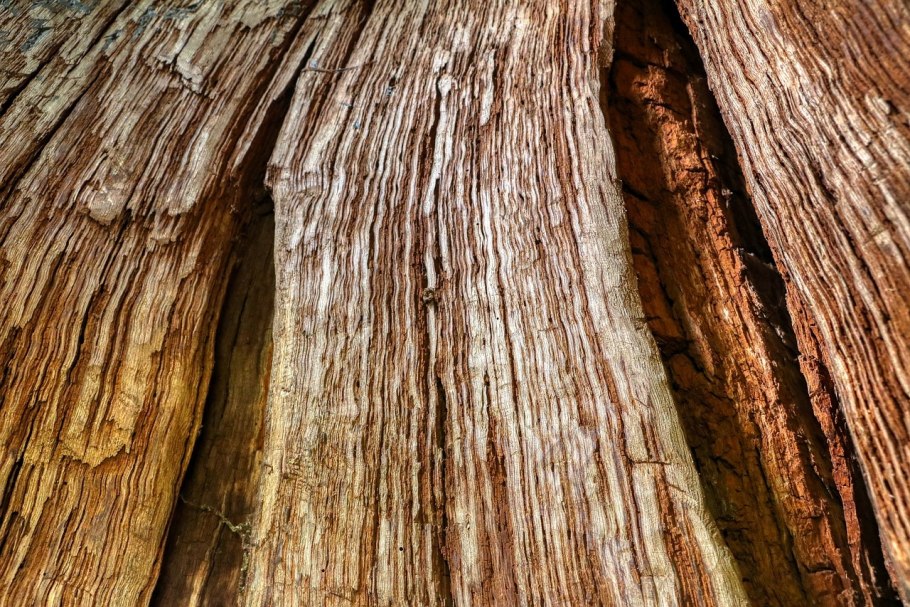 Дуссия Инженерная доска Боен