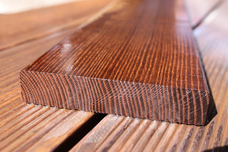 Бук дерево спил