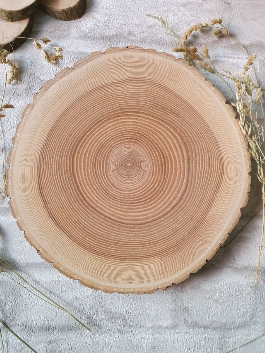 Поперечный спил ясеня