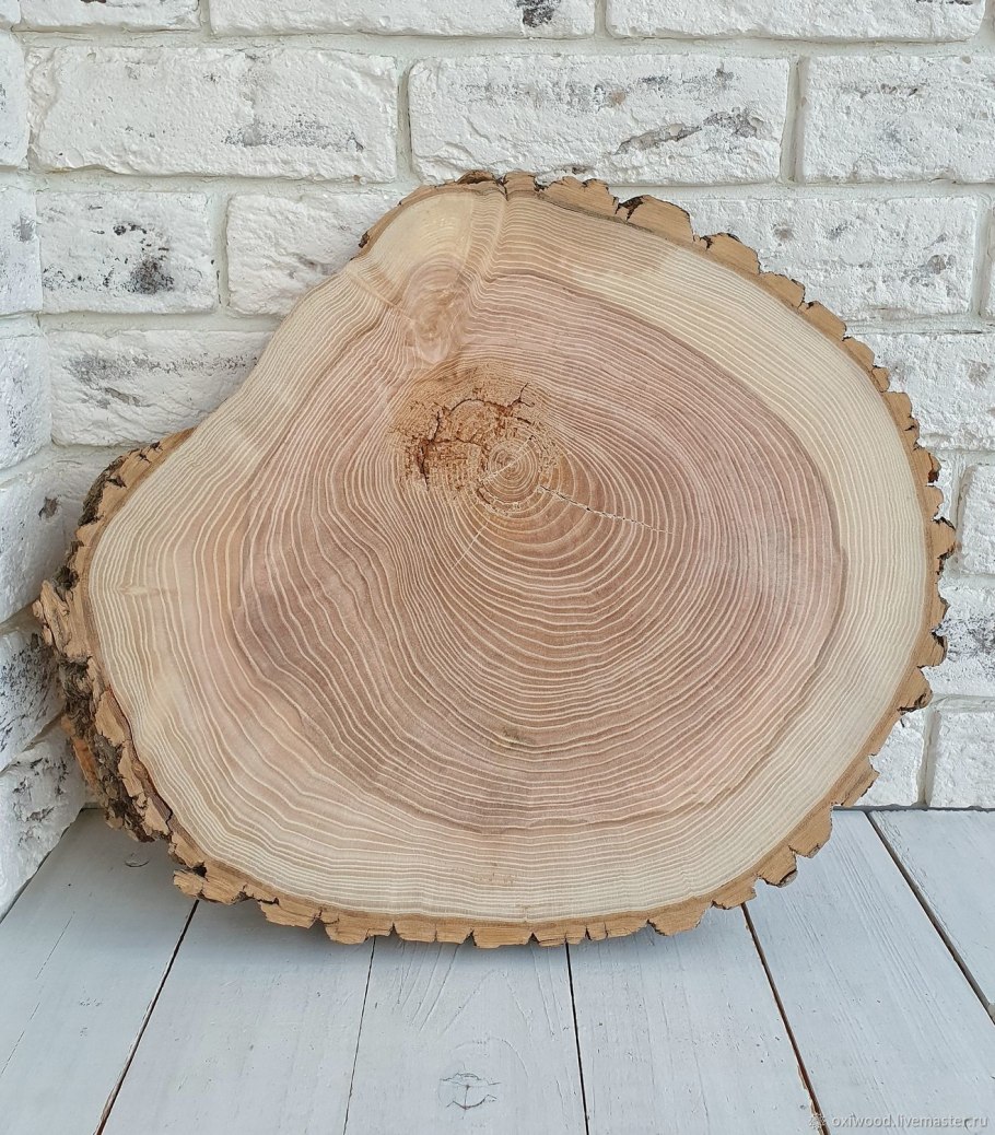 Срез дерева