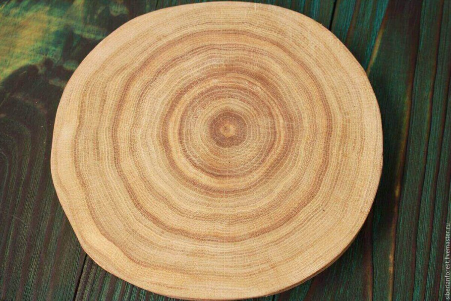 Поперечный спил ясеня