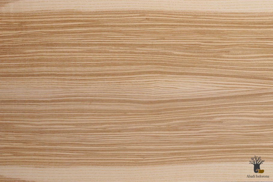 Структура дерева ясень