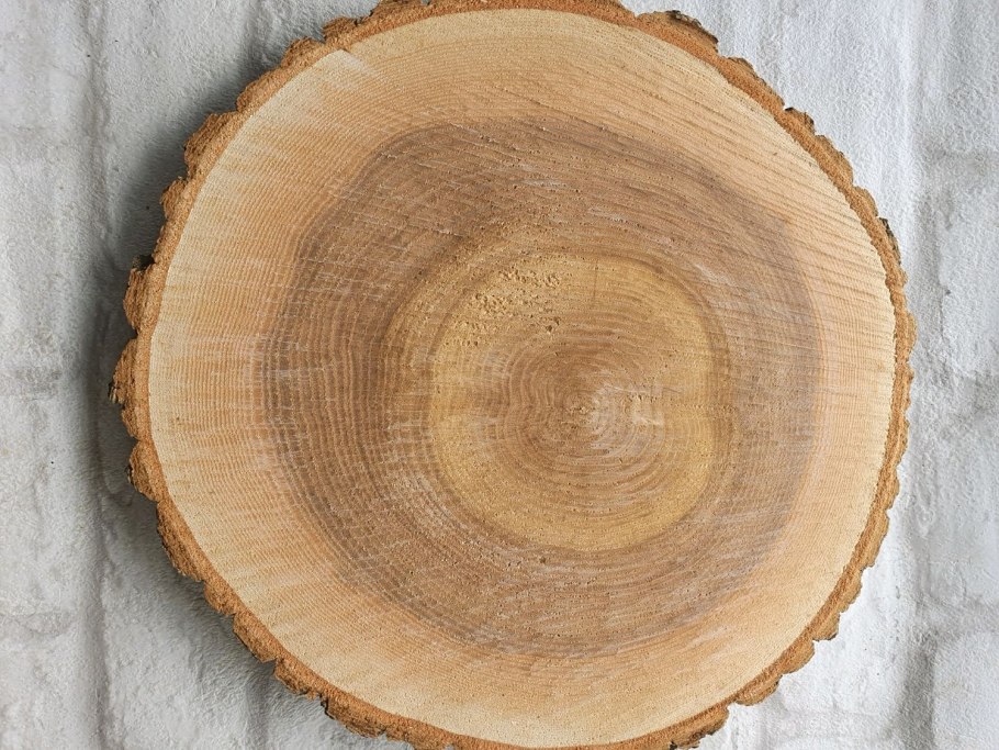 Древесина мовингу спил дерева