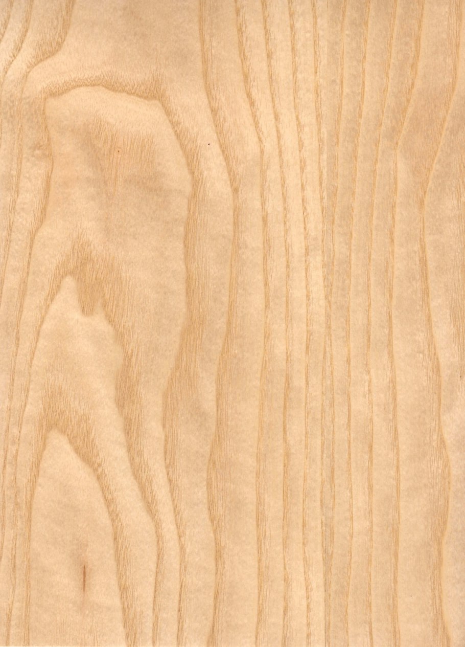 Ясень Дальневосточный древесина