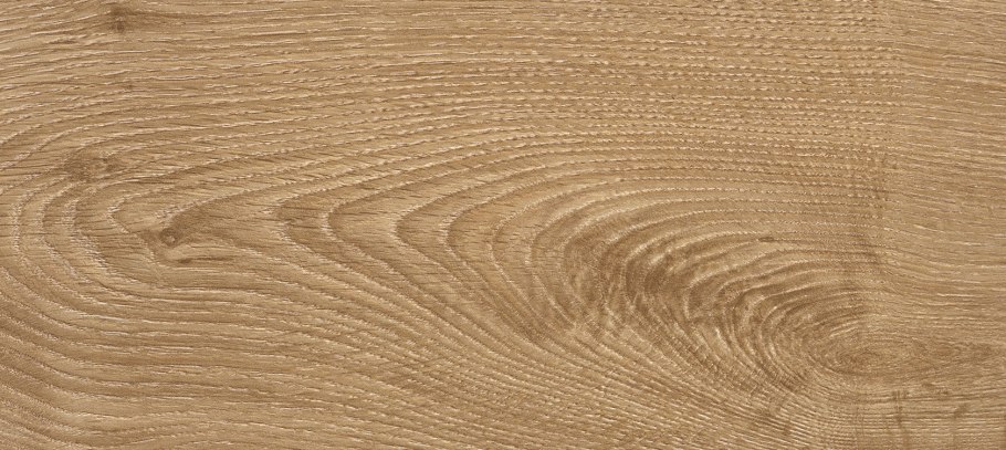 Заболонь лиственницы