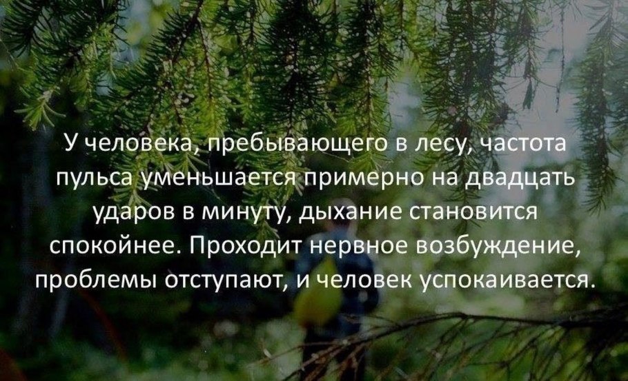 Цитаты про природу