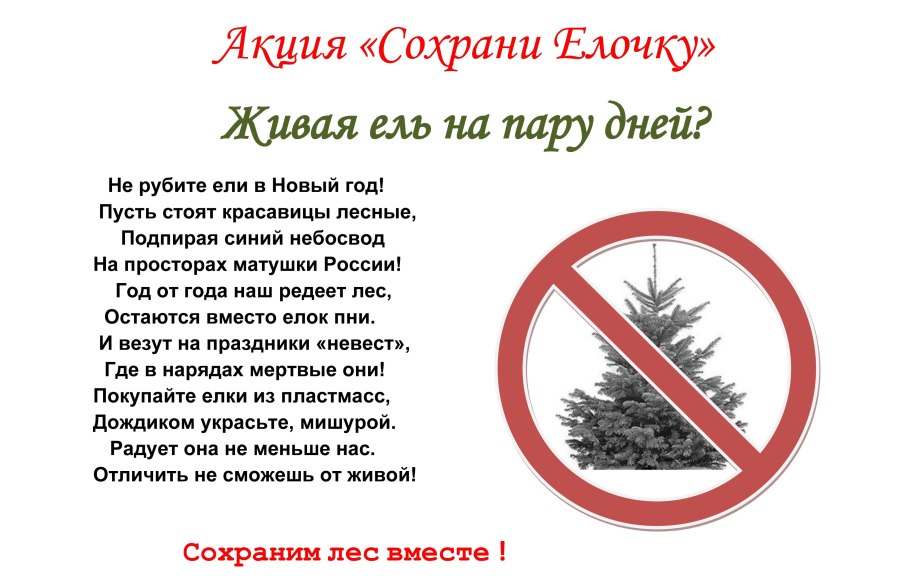 Тайга презентация