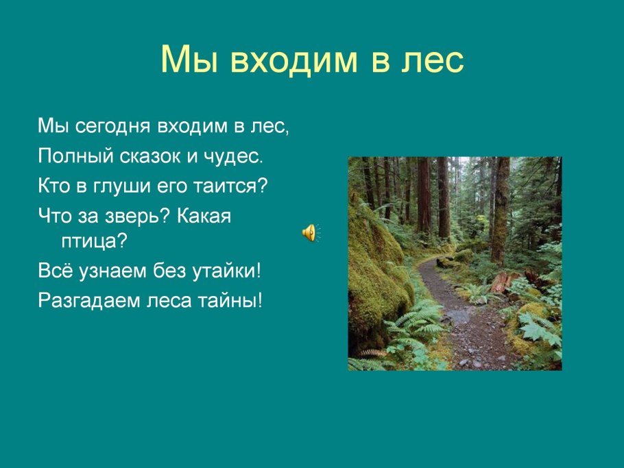 Лесе России проект